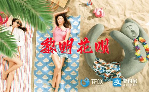 一丘之貉（说些不值得骄傲的一部分）花呗